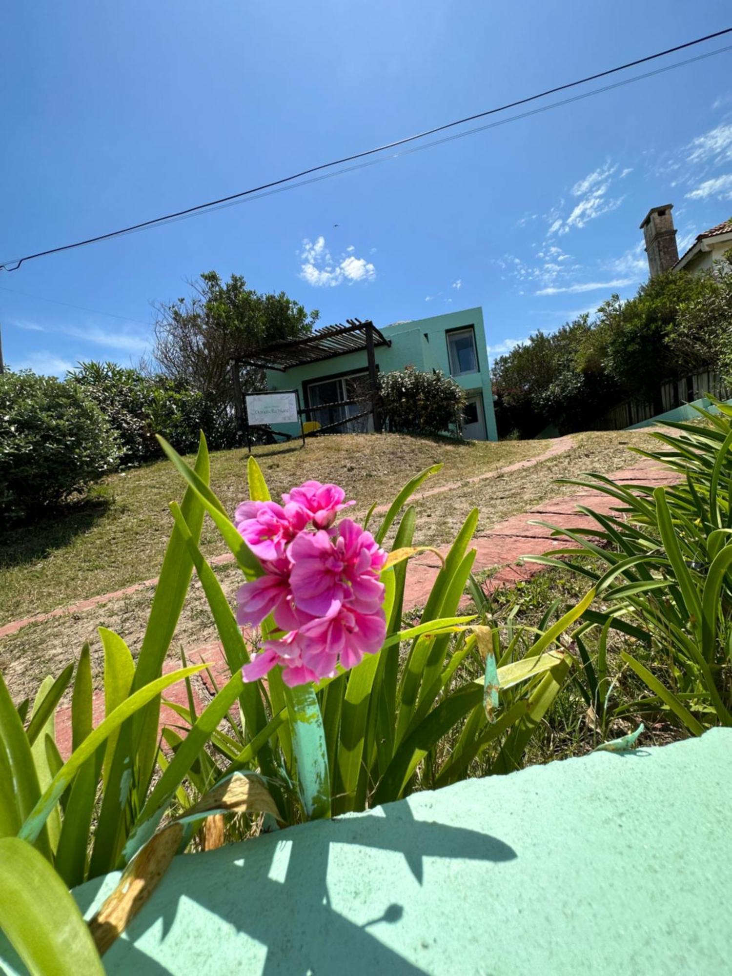 Hotel Beach La Barra Punta del Este Eksteriør billede